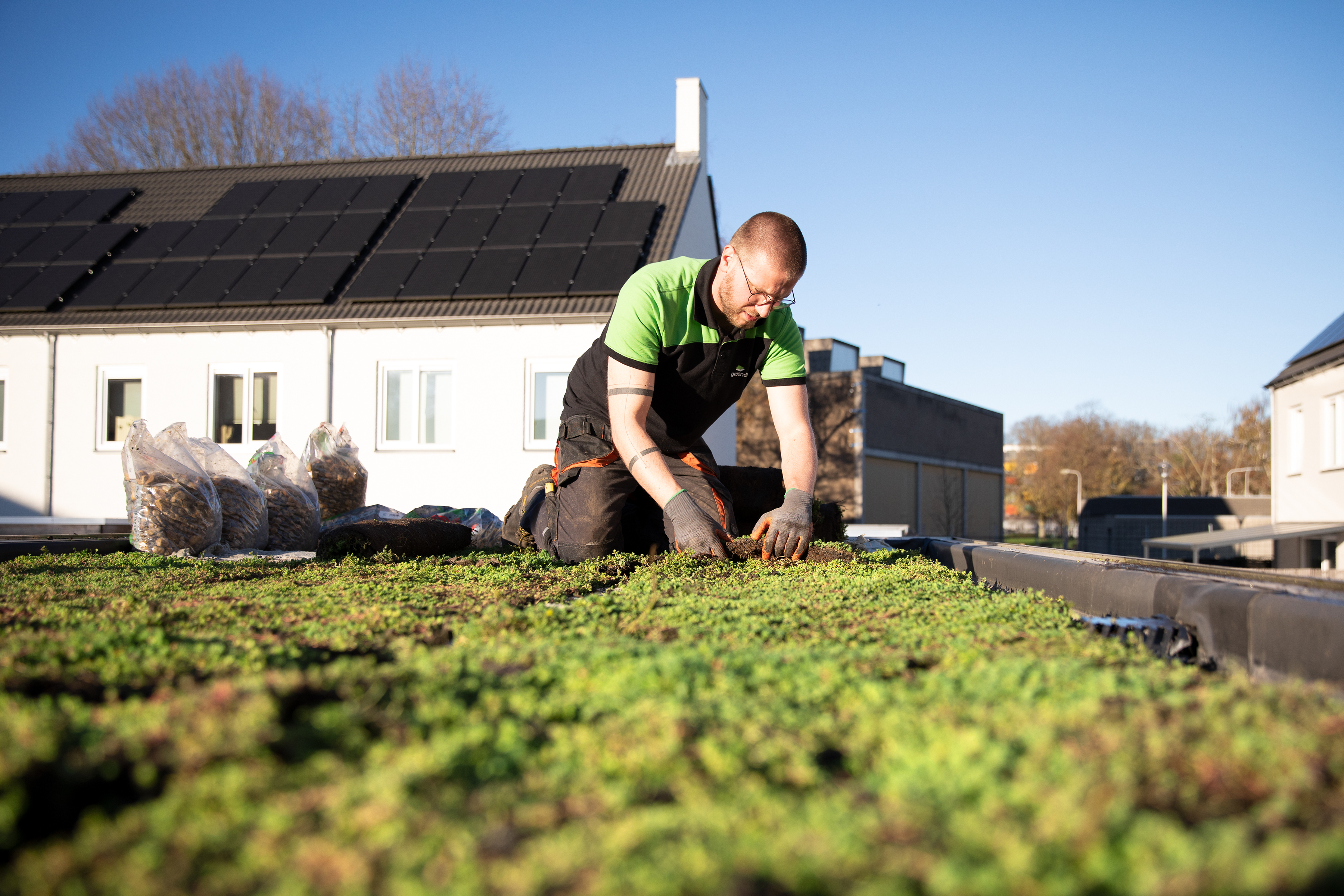 Groen dak wordt gelegd