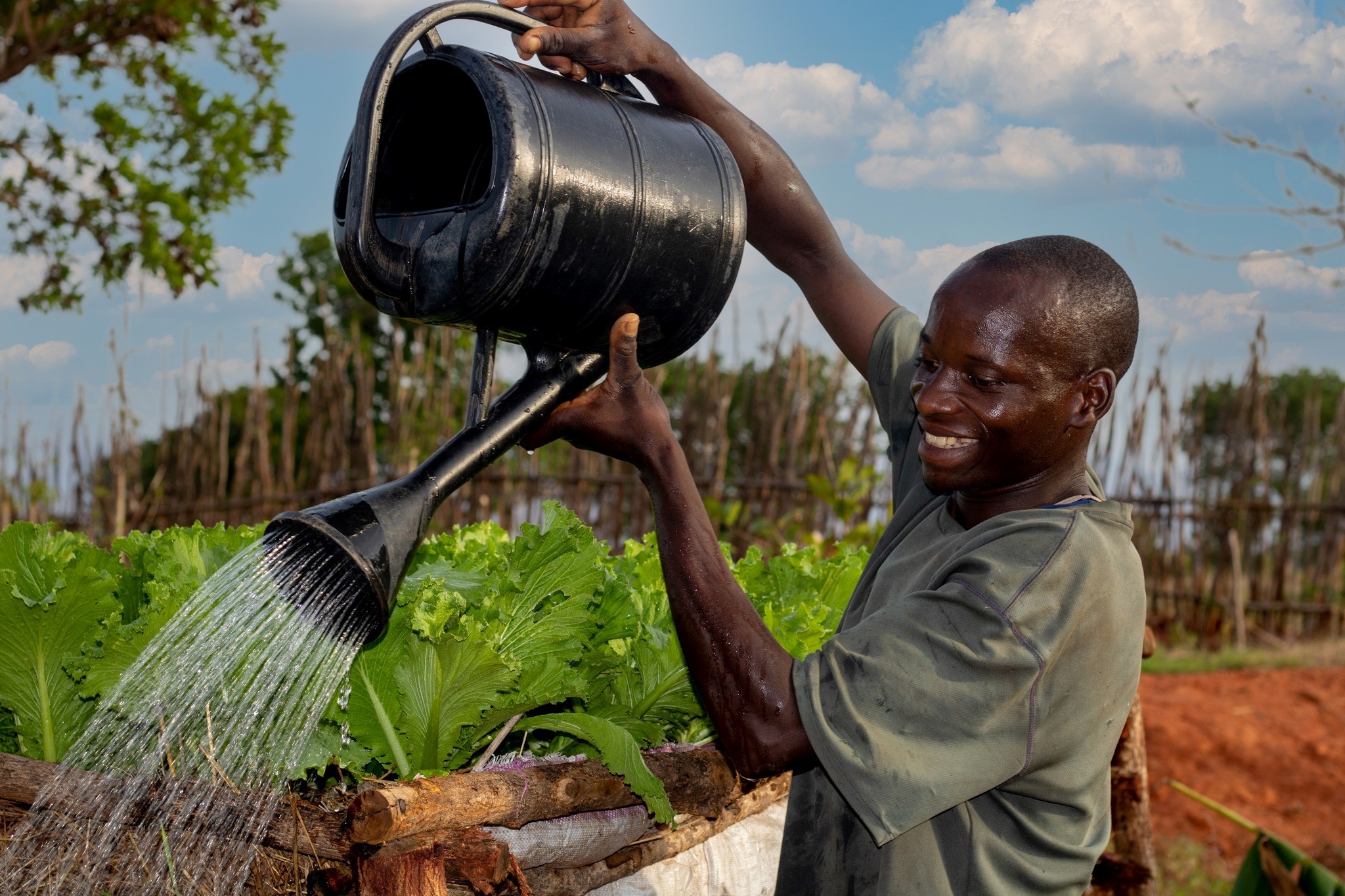 Man giet water over planten in Afrika