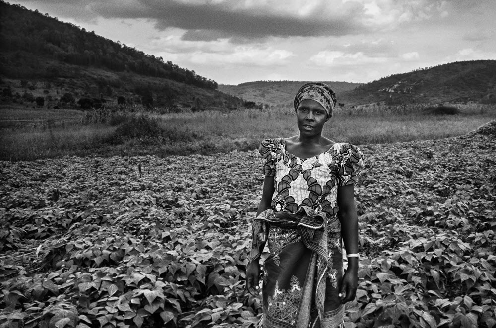 Vrouw in het veld tussen de gewassen in Afrika